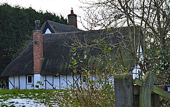 Meadow Cottage February 2014